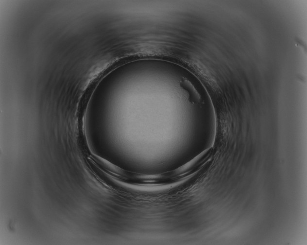 X0000093770488200710161245