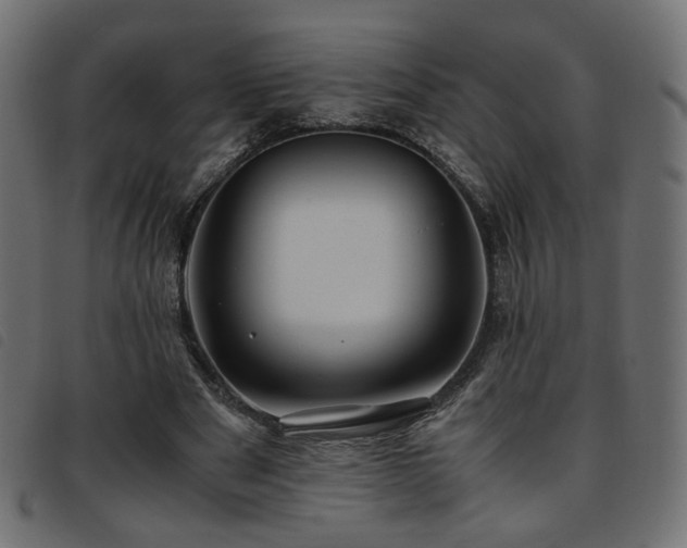 X0000093770489200710161245
