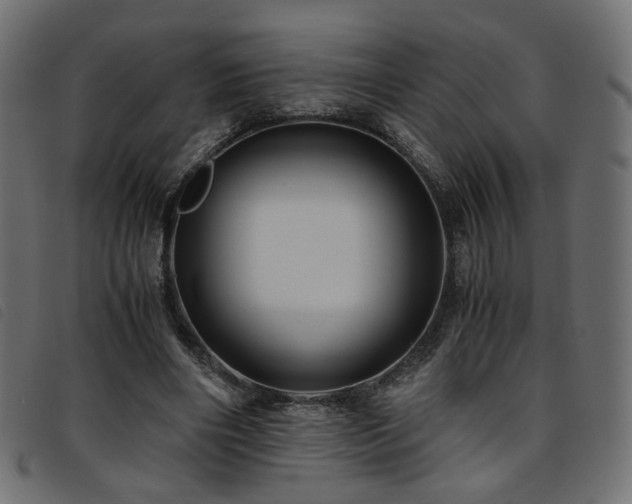 X0000093770490200710161245