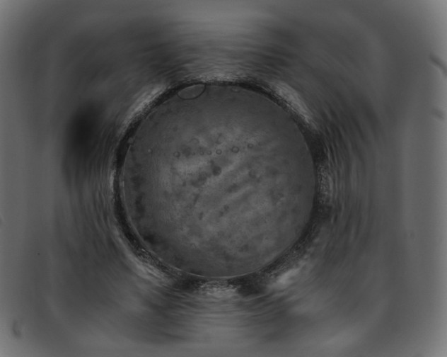 X0000093770491200710161245