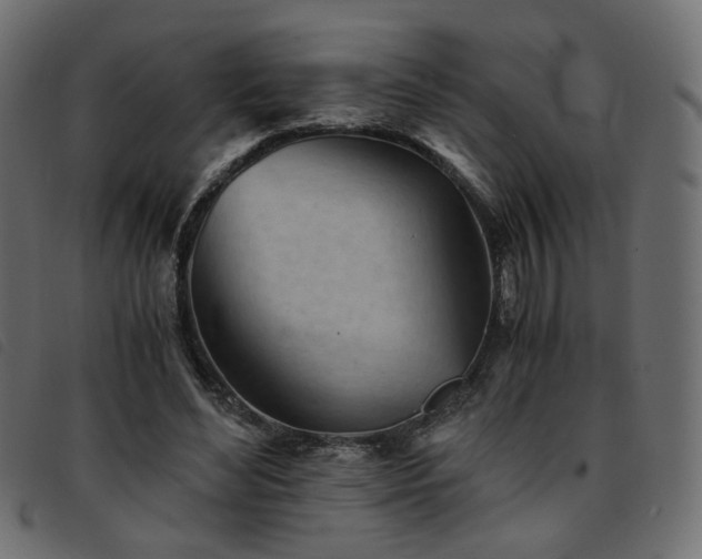 X0000093770492200710161245