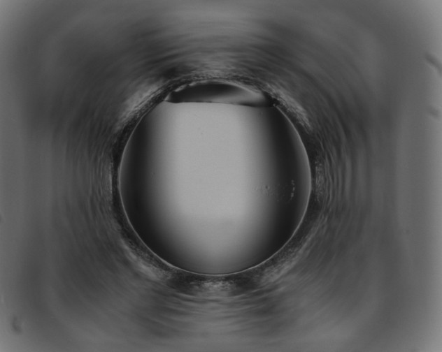 X0000093770493200710161245