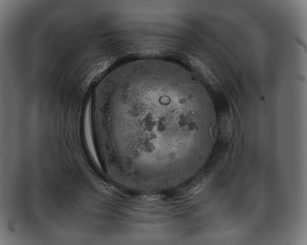 X0000093770495200710161245