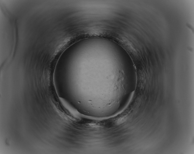 X0000093770496200710161245