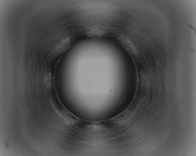 X0000093770498200710161245