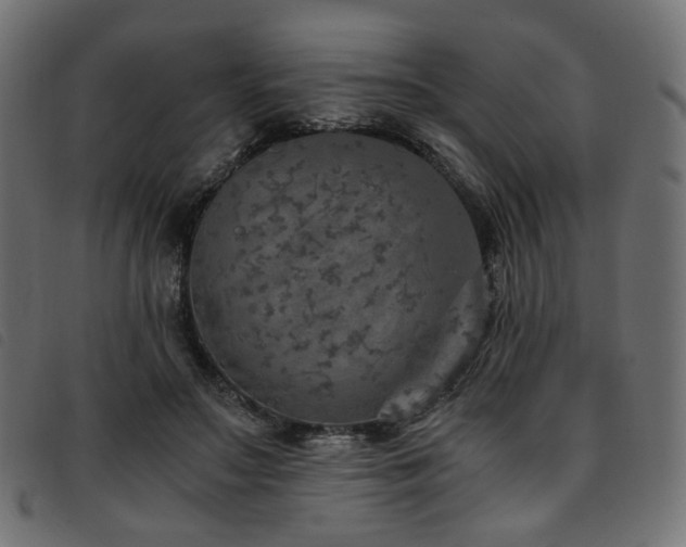 X0000093770499200710161244