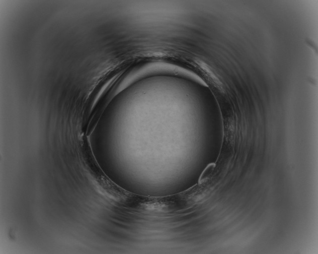 X0000093770500200710161244