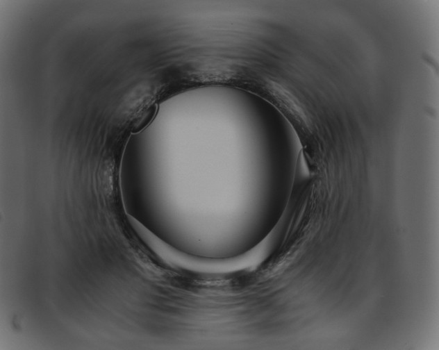 X0000093770501200710161244