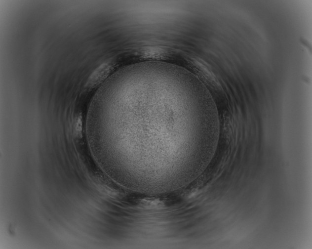 X0000093770502200710161244