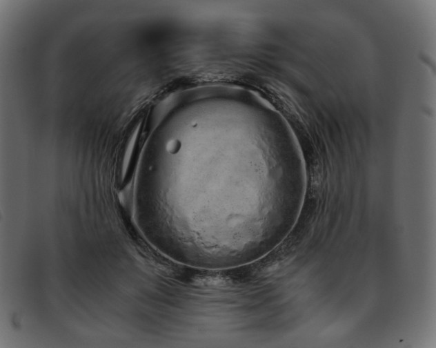 X0000093770503200710161244
