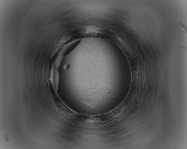 X0000093770504200710161244