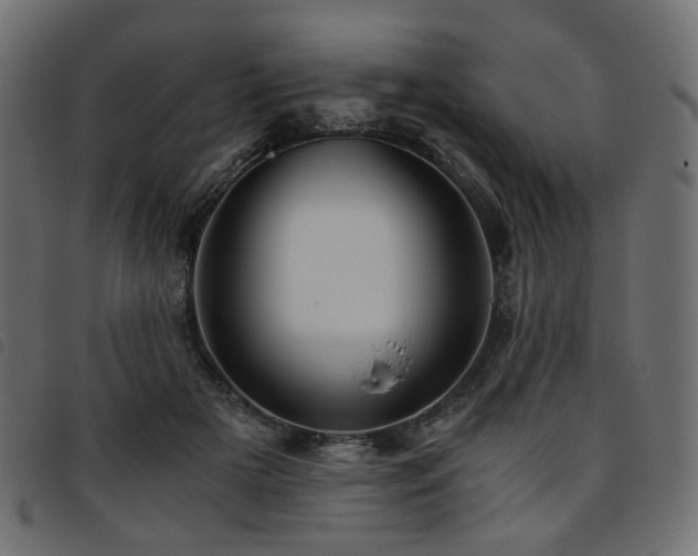 X0000093770505200710161244