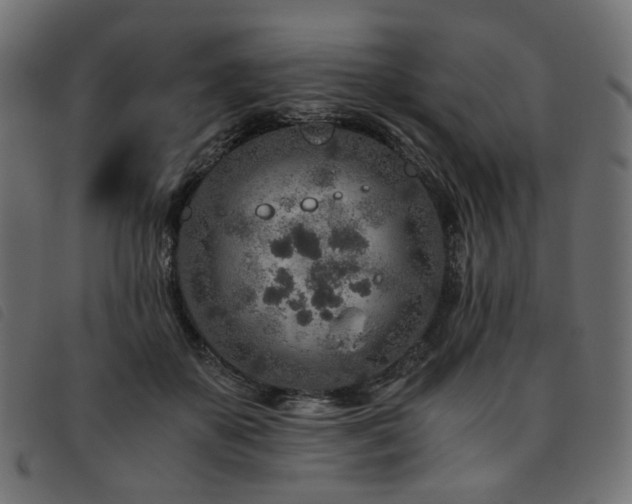 X0000093770507200710161244