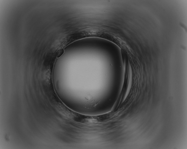 X0000093770509200710161244