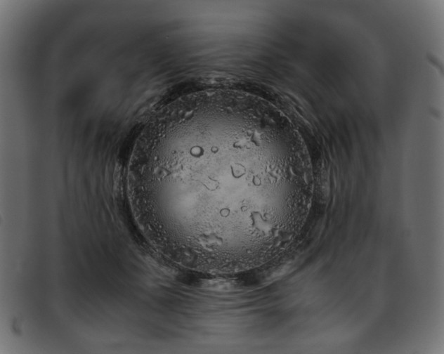 X0000093770511200710161244