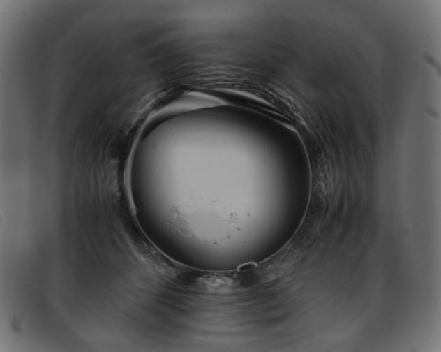X0000093770512200710161244