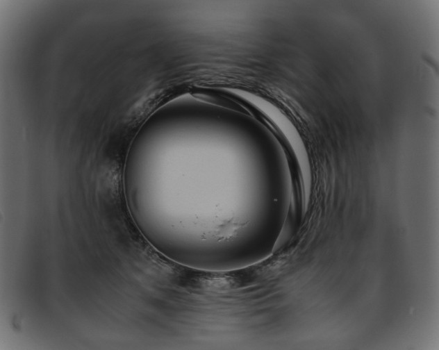 X0000093770513200710161244