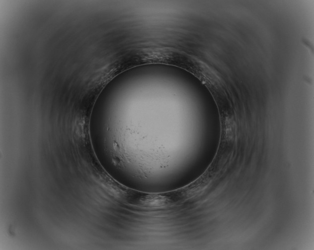 X0000093770514200710161244