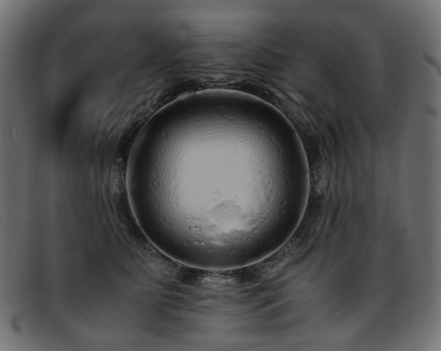 X0000093770515200710161244