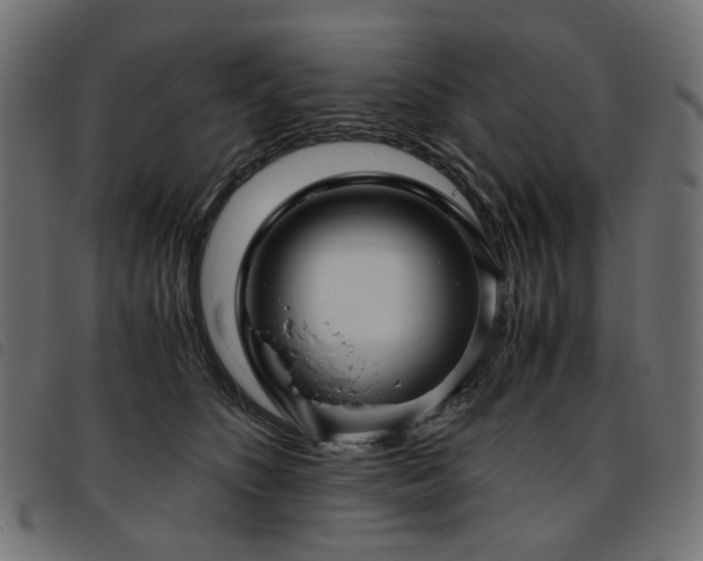 X0000093770516200710161244