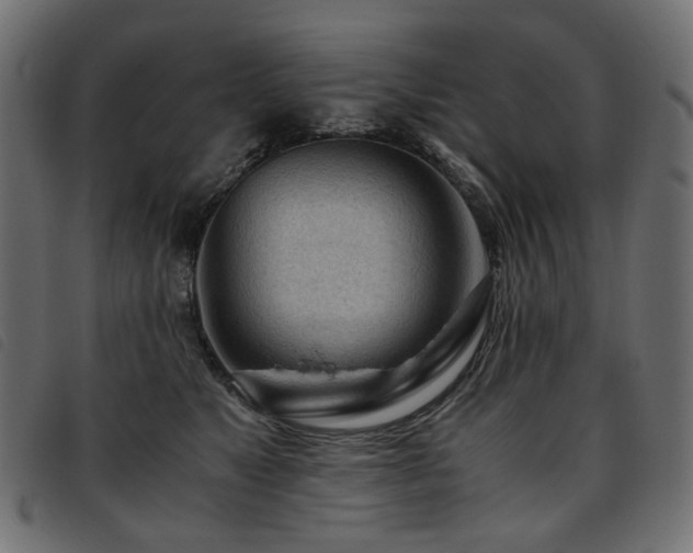 X0000093770517200710161244