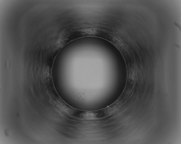 X0000093770518200710161244