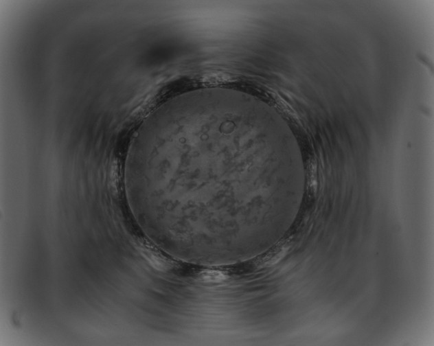 X0000093770519200710161244