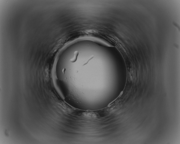 X0000093770520200710161244