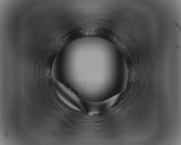 X0000093770521200710161244