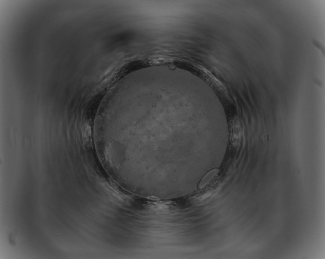 X0000093770523200710161244
