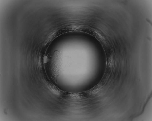 X0000093770524200710161244