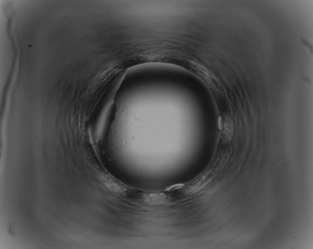 X0000093770525200710161244