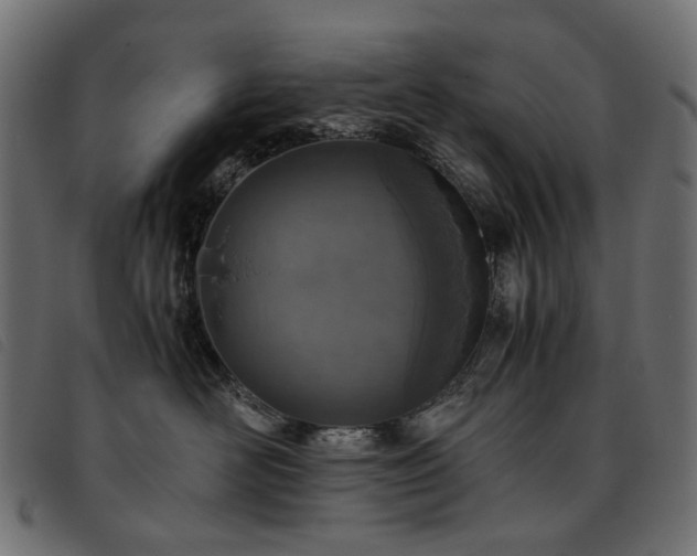X0000093770526200710161244