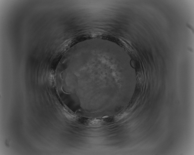 X0000093770527200710161244