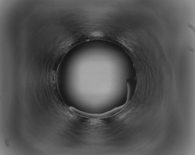 X0000093770528200710161244