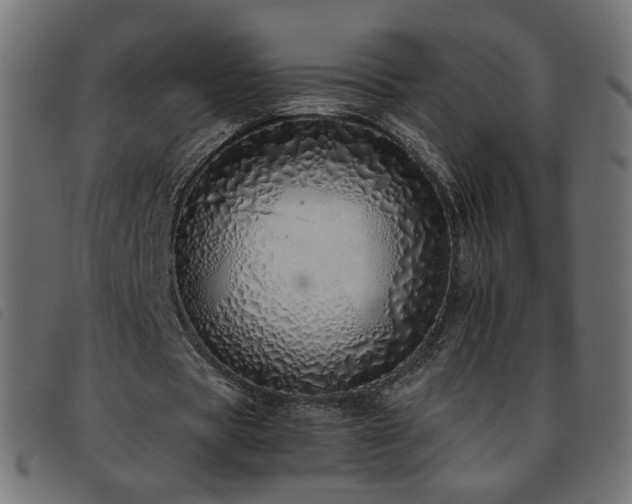 X0000093770529200710161243