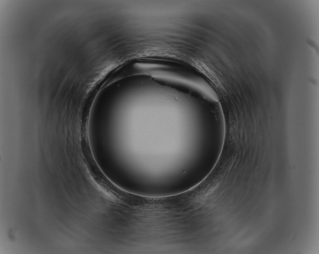 X0000093770530200710161243