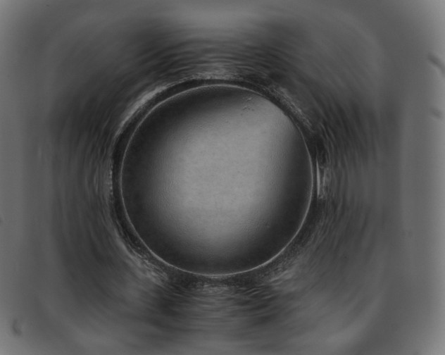 X0000093770531200710161243