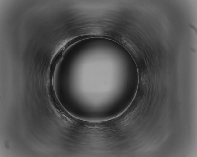 X0000093770532200710161243