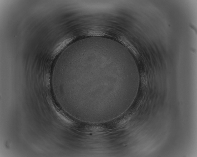 X0000093770533200710161243