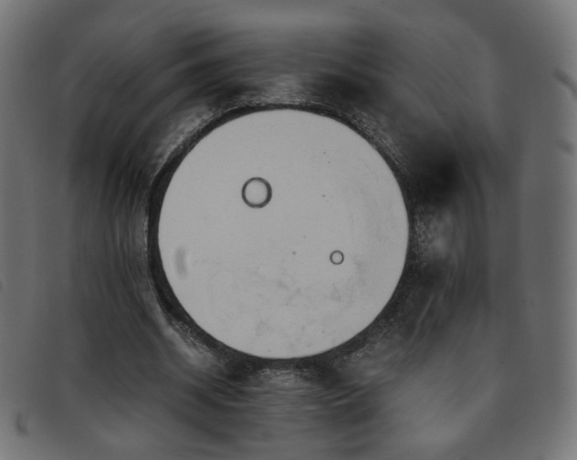 X0000093770534200710161243