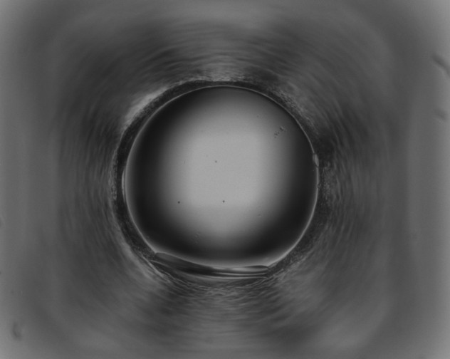 X0000093770536200710161243