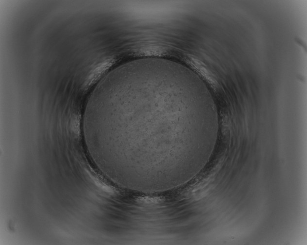 X0000093770537200710161244