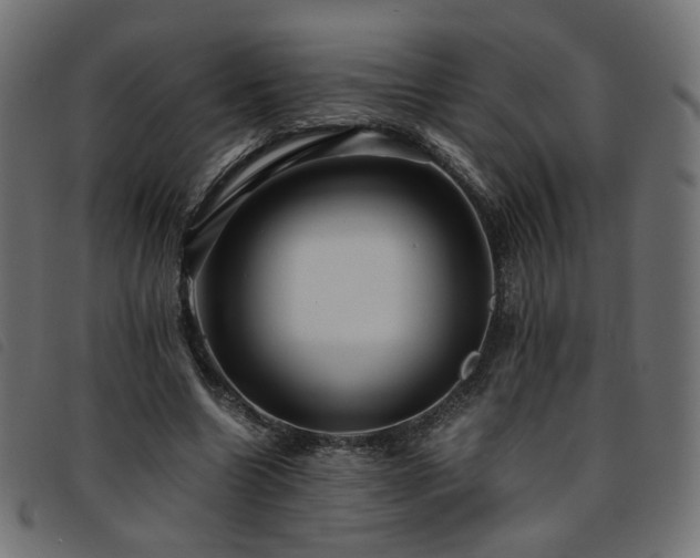 X0000093770538200710161244