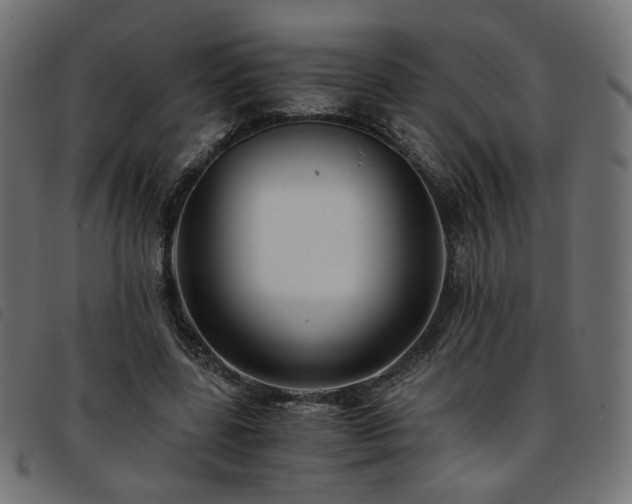 X0000093770539200710161244