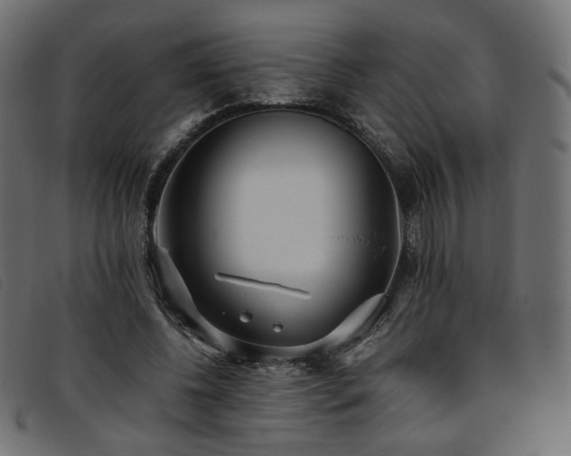 X0000093770540200710161244
