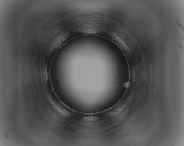 X0000093770541200710161244