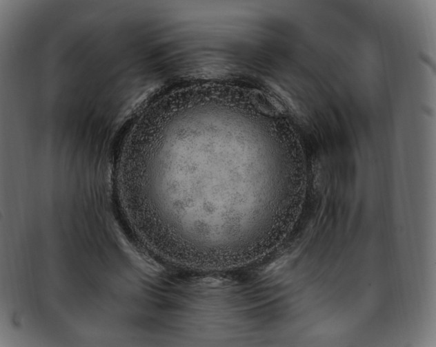 X0000093770542200710161244