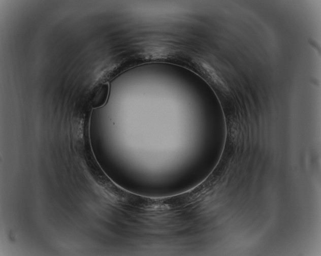 X0000093770543200710161244
