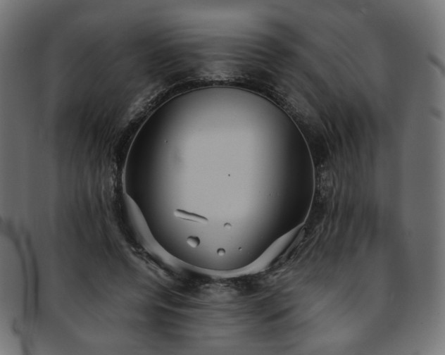 X0000093770544200710161244